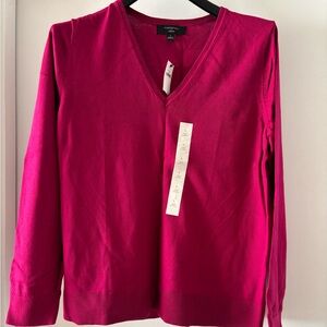 NWT Banana Republic Forever V-Neck Sweater